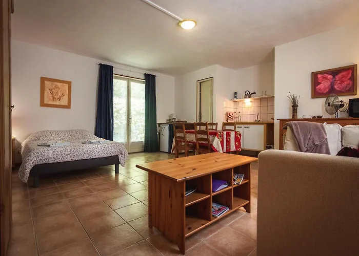 In Vezac Near Forest And